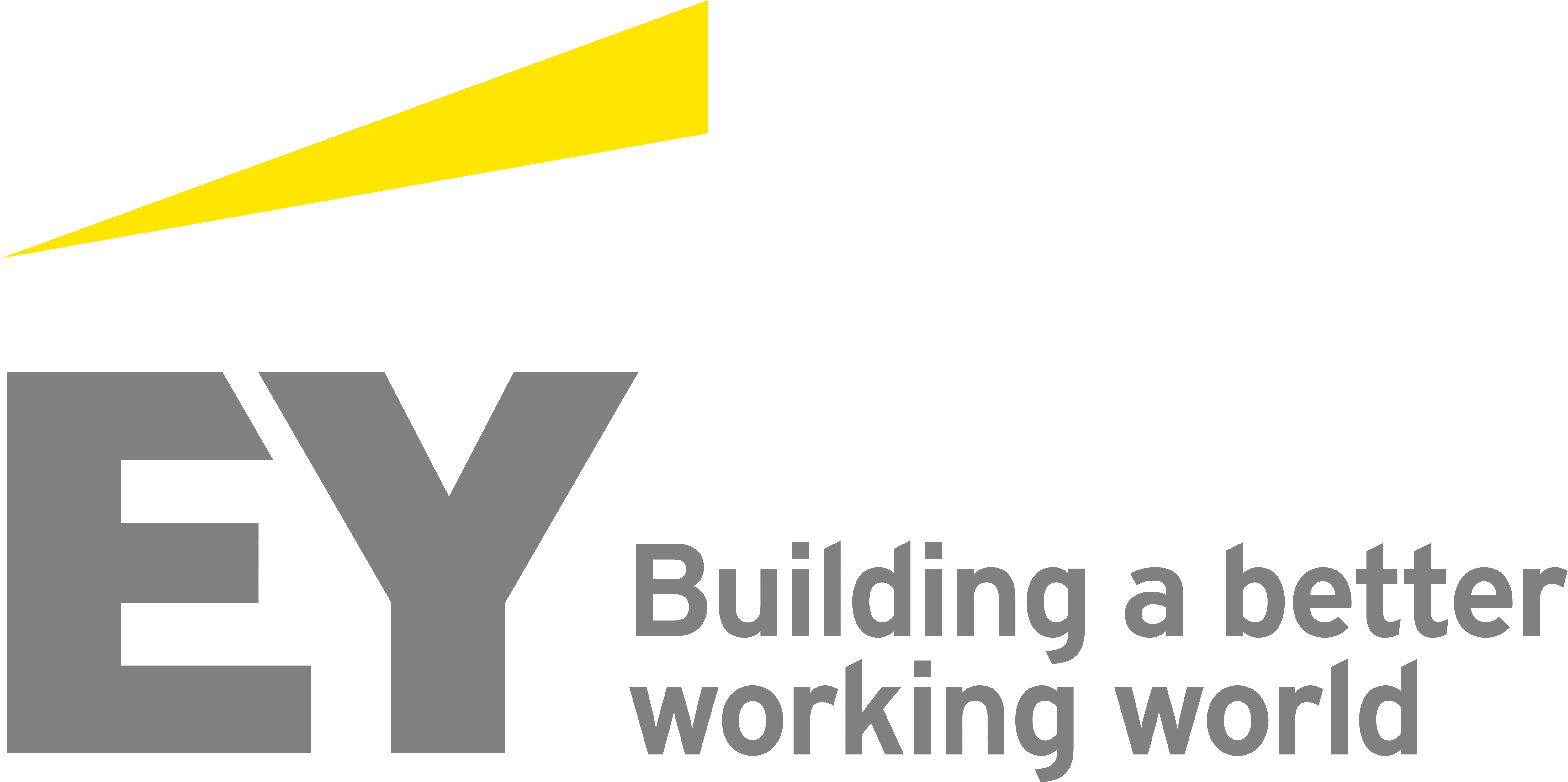 Ernst & Young Logo